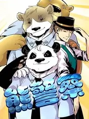 综艺分类